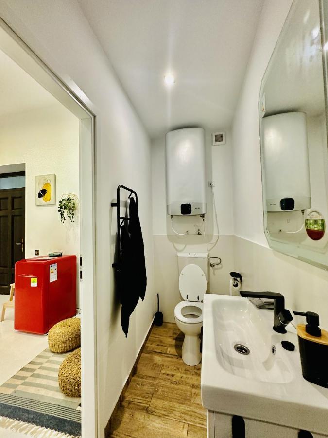Clever Studio Near Central Shopping Center 클루지나포카 외부 사진