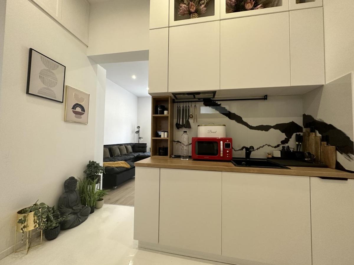 Clever Studio Near Central Shopping Center 클루지나포카 외부 사진